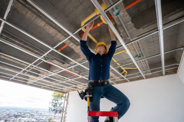 Best Local Plumber Services  in Mexico, MO